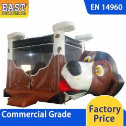 Indoor Inflatable Bounce House