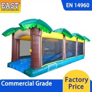 Inflatable Slip N Slide