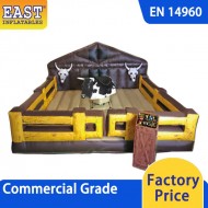 Mechanical Bull Riding