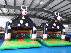 Bouncy Castles: Fun Beyond Birthdays in the UK