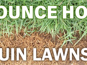 Can a Bouncy Castle Harm Your Lawn?