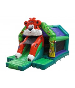Bouncy Castle With Slide